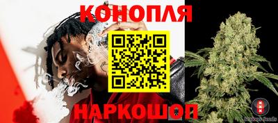 PSILOCYBIN Кунгур