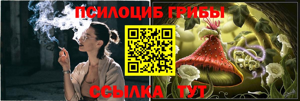 Псилоцибиновые грибы GOLDEN TEACHER Зерноград