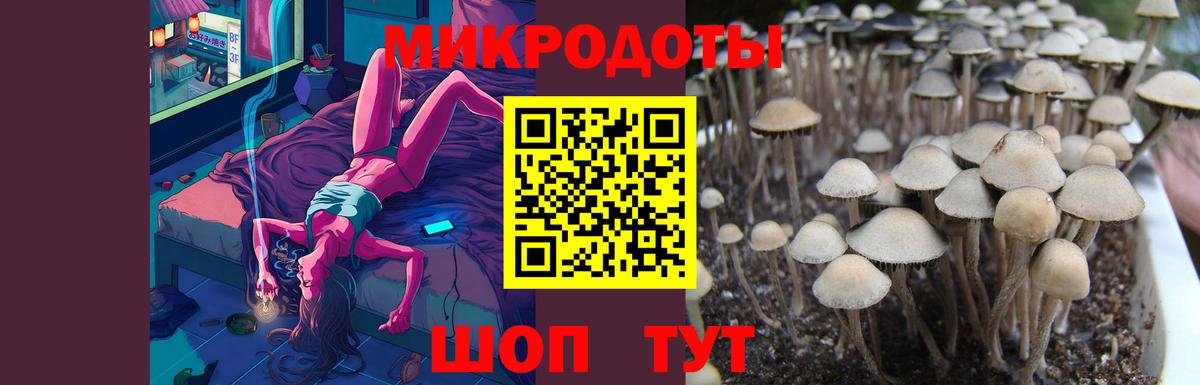 Зерноград  продажа наркотиков  Вход с VPN  Галлюциногенные грибы Psilocybe 